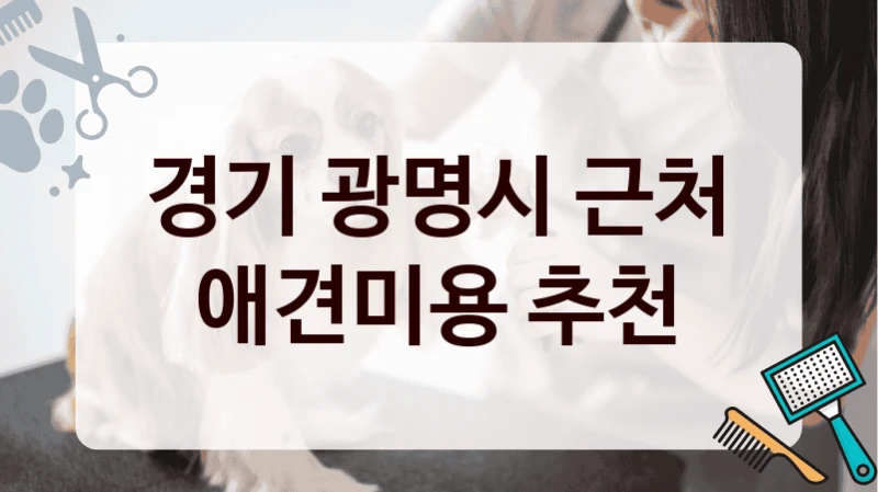 경기 광명시 근처 애견미용 추천