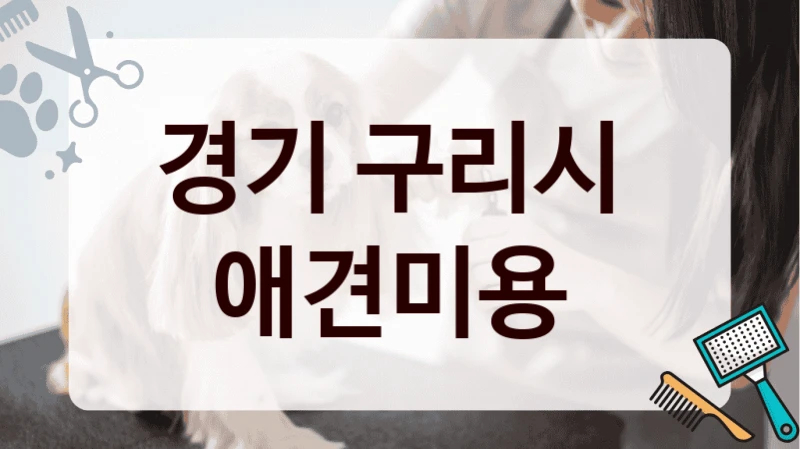 경기 구리시  애견미용