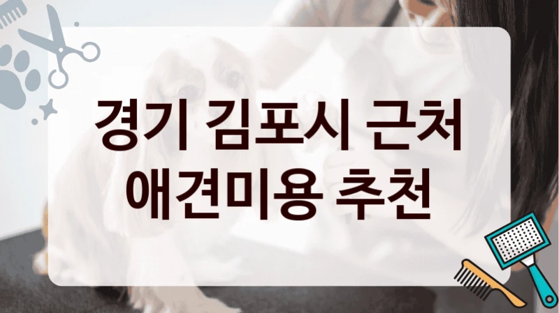 경기 김포시 근처 애견미용 추천