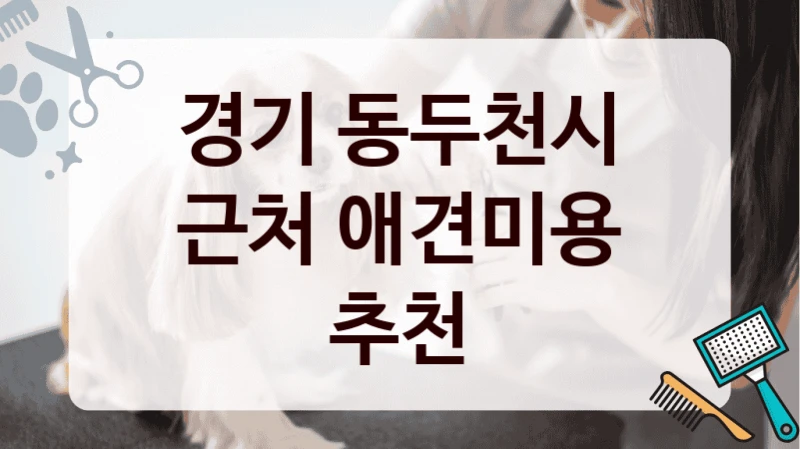 경기 동두천시 근처 애견미용 추천