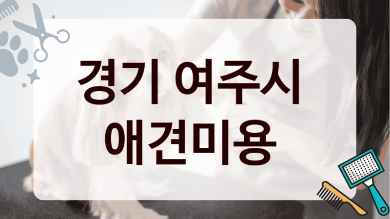 경기 여주시  애견미용