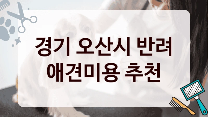 경기 오산시 반려 애견미용 추천
