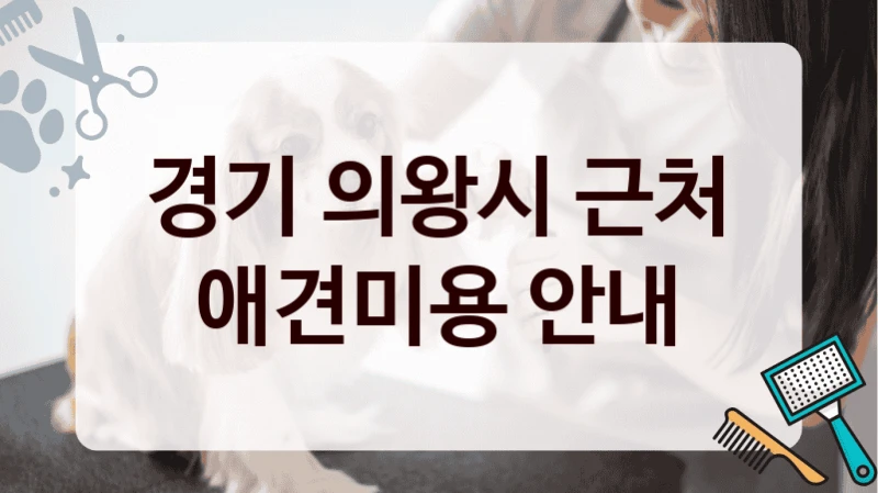 경기 의왕시 근처 애견미용 안내