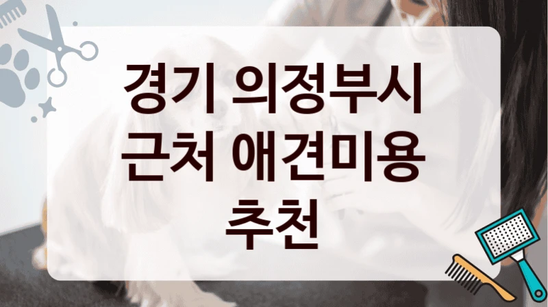 경기 의정부시 근처 애견미용 추천