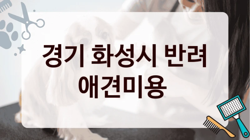 경기 화성시 반려 애견미용