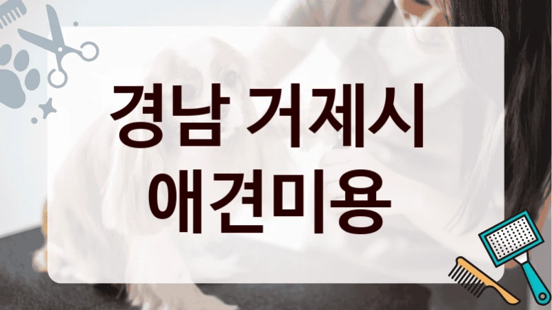 경남 거제시  애견미용