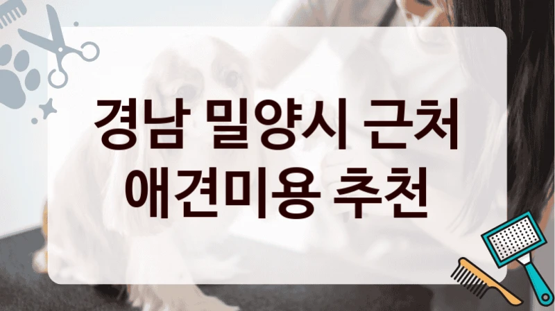 경남 밀양시 근처 애견미용 추천