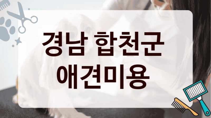 경남 합천군  애견미용