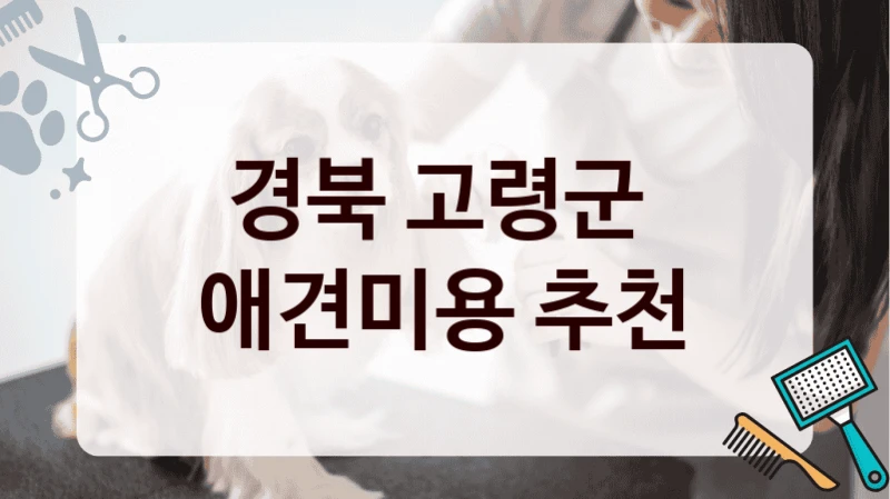 경북 고령군  애견미용 추천