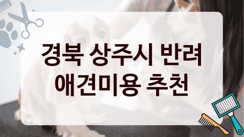 경북 상주시 반려 애견미용 추천