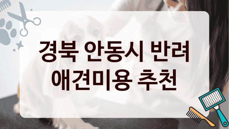 경북 안동시 반려 애견미용 추천