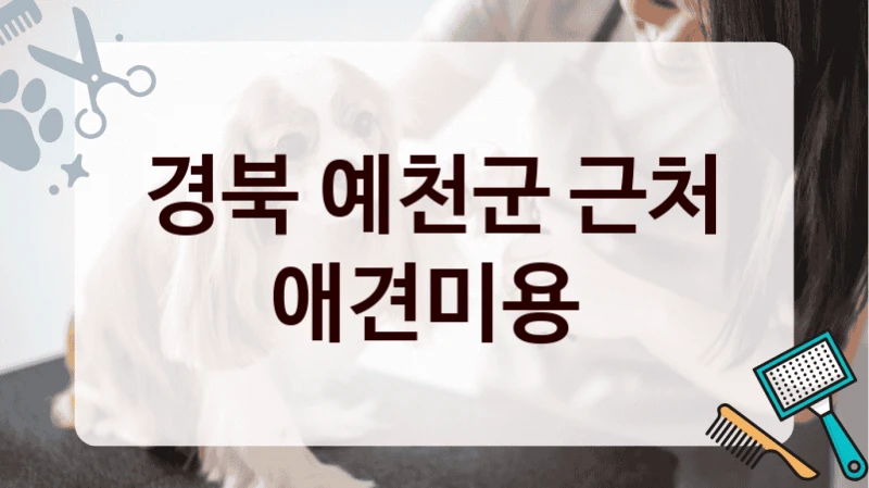 경북 예천군 근처 애견미용