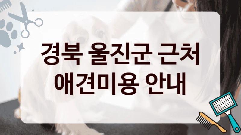 경북 울진군 근처 애견미용 안내