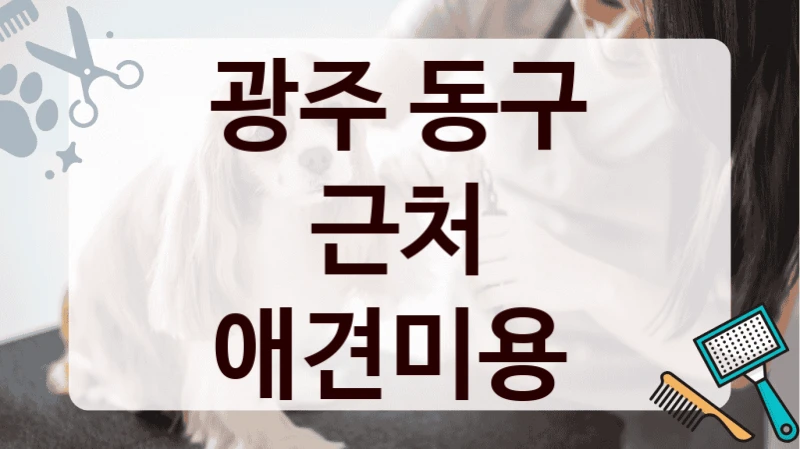 광주 동구 근처 애견미용