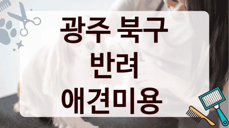 광주 북구 반려 애견미용