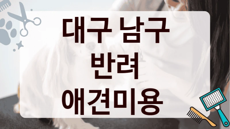 대구 남구 반려 애견미용