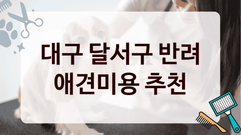 대구 달서구 반려 애견미용 추천