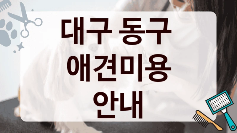 대구 동구  애견미용 안내