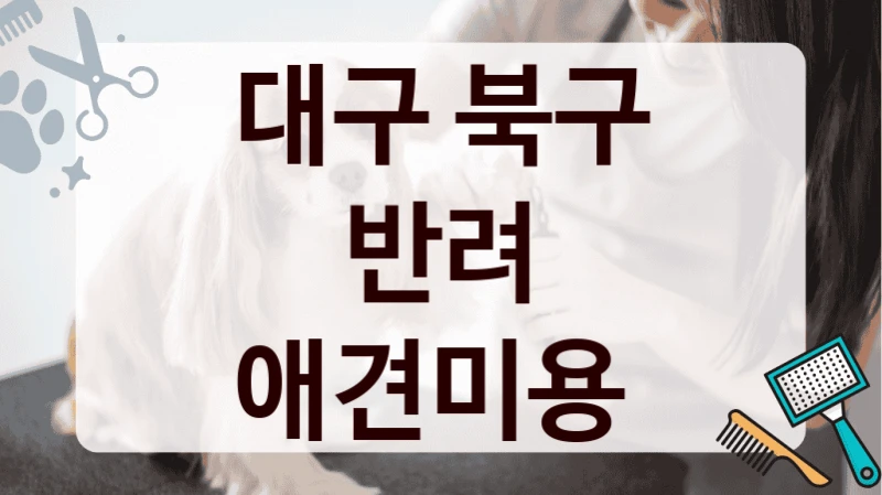 대구 북구 반려 애견미용