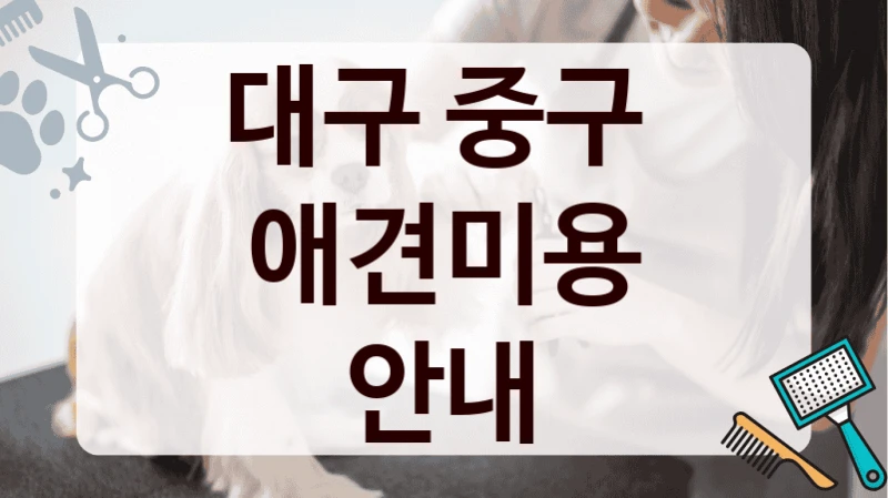대구 중구  애견미용 안내