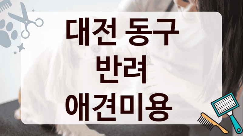 대전 동구 반려 애견미용