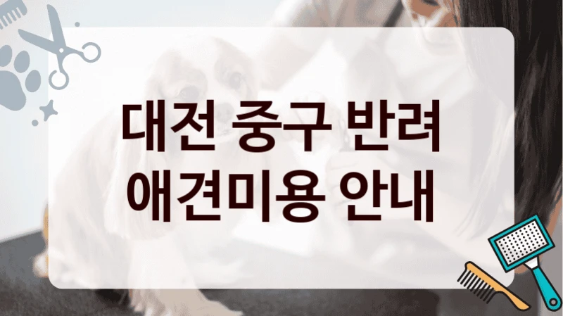 대전 중구 반려 애견미용 안내