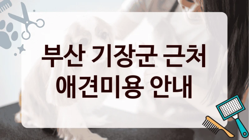 부산 기장군 근처 애견미용 안내