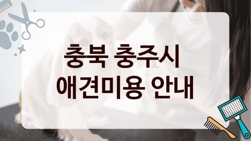 충북 충주시  애견미용 안내