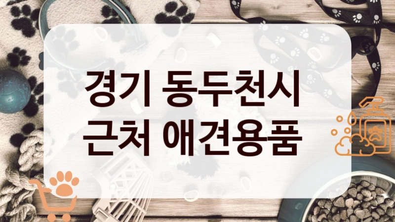 경기 동두천시 
근처 애견용품