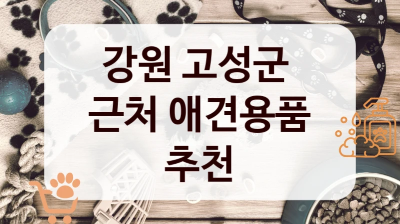 강원 고성군
근처 애견용품 추천