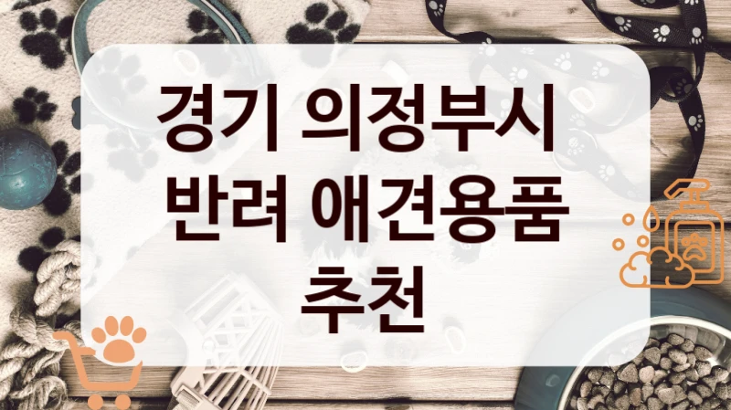 경기 의정부시 
반려 애견용품 추천