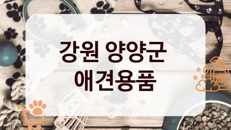 강원 양양군 
 애견용품