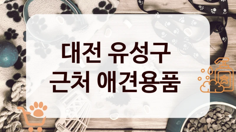 대전 유성구 
근처 애견용품