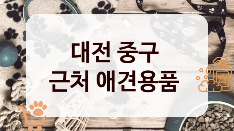 대전 중구 
근처 애견용품