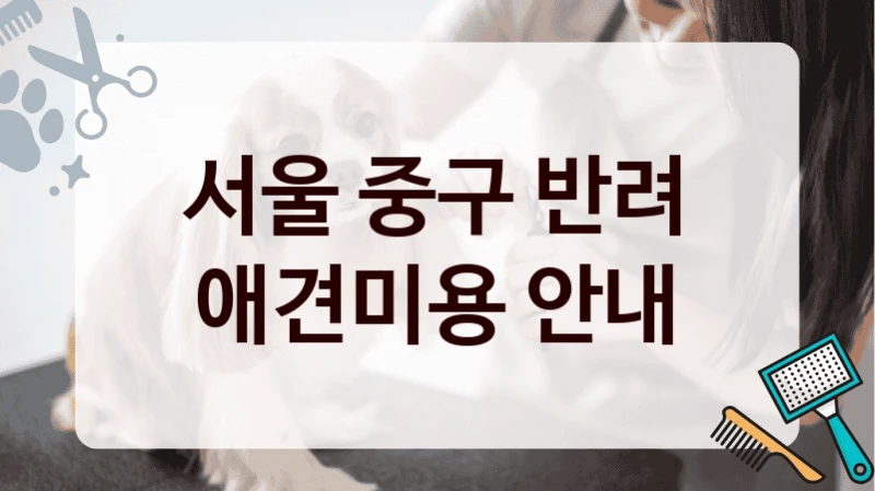 서울 중구 반려 애견미용 안내