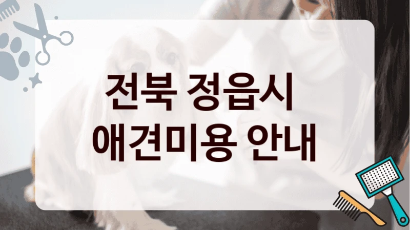전북 정읍시  애견미용 안내