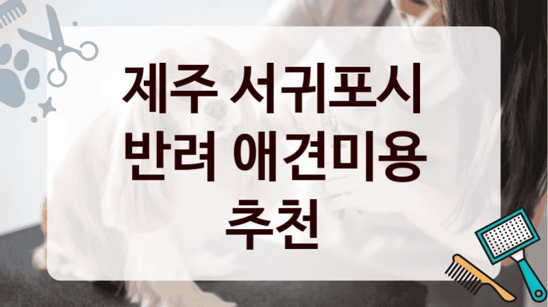제주 서귀포시 반려 애견미용 추천