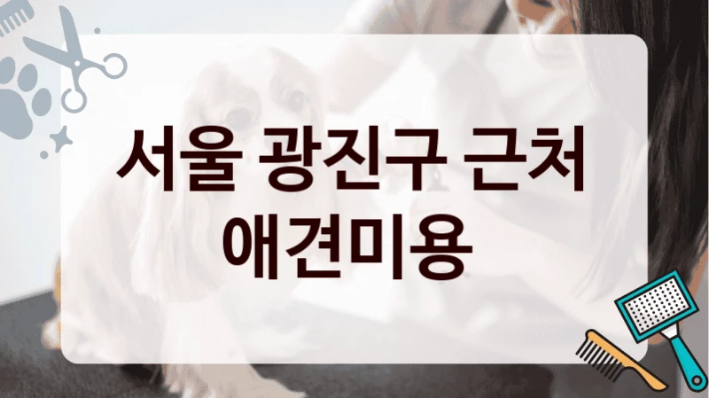 서울 광진구 근처 애견미용