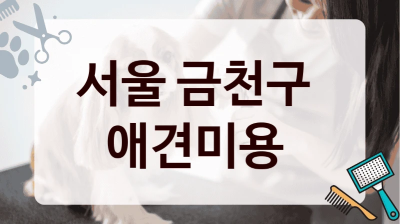 서울 금천구  애견미용