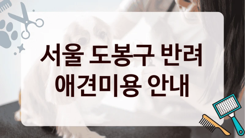 서울 도봉구 반려 애견미용 안내