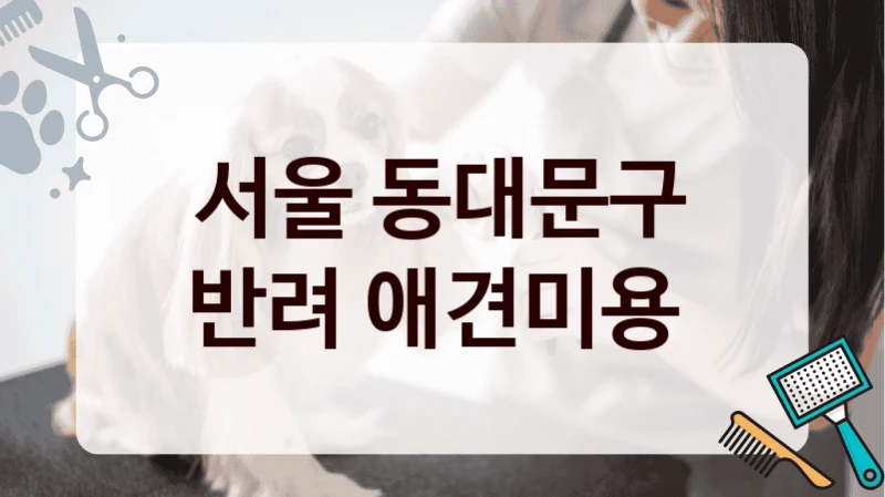 서울 동대문구 반려 애견미용