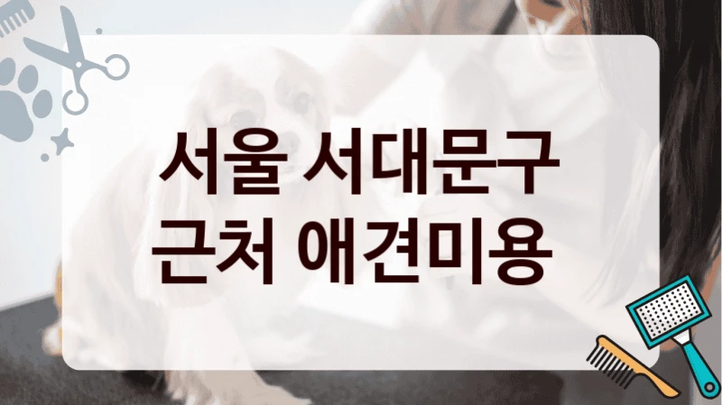 서울 서대문구 근처 애견미용