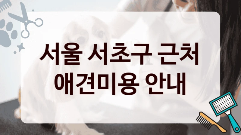 서울 서초구 근처 애견미용 안내