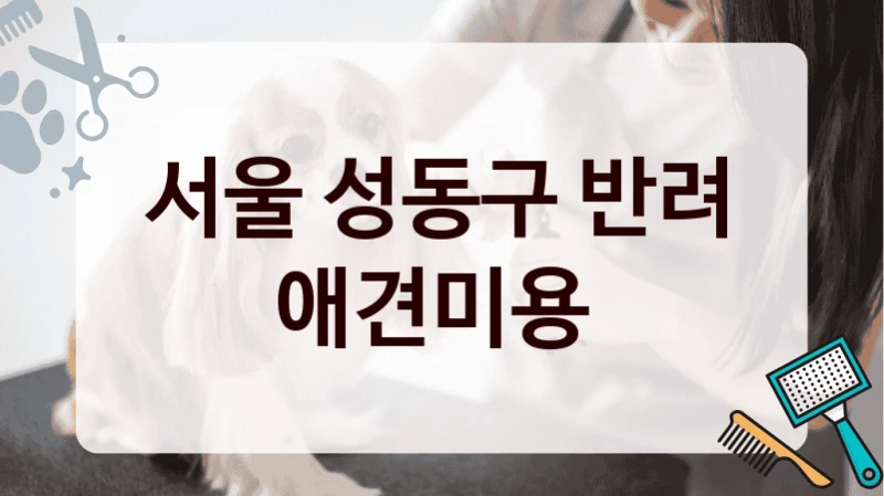 서울 성동구 반려 애견미용