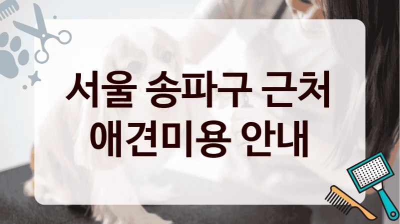 서울 송파구 근처 애견미용 안내