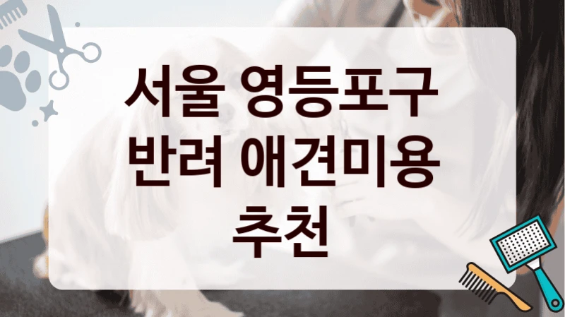 서울 영등포구 반려 애견미용 추천