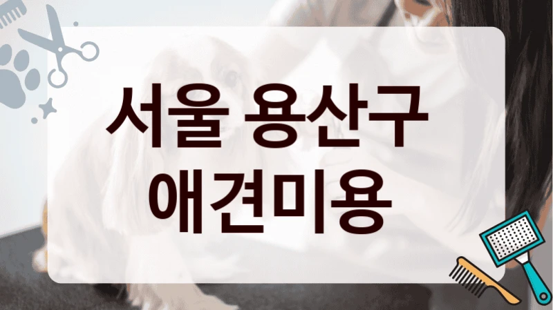 서울 용산구  애견미용