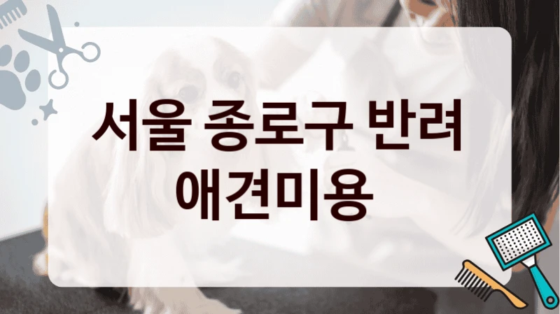 서울 종로구 반려 애견미용