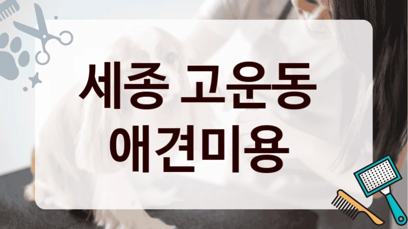 세종 고운동  애견미용