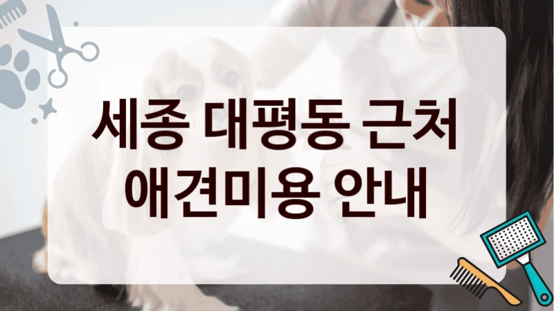 세종 대평동 근처 애견미용 안내